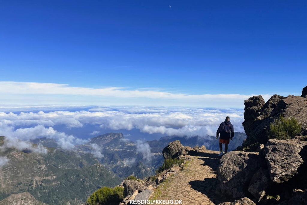 Rejseguide til Madeira - Rejs Dig Lykkelig