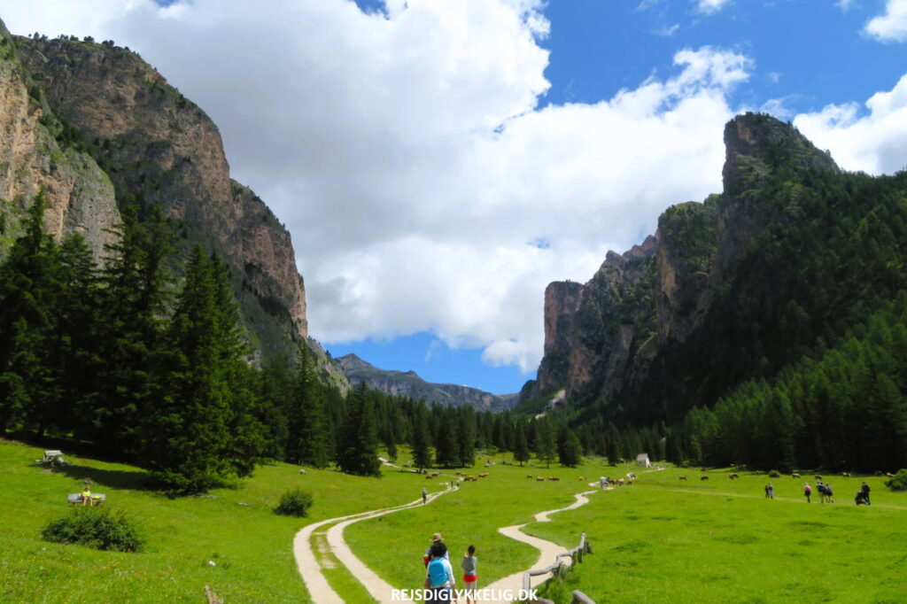 Seværdigheder og Oplevelser i Dolomitterne - Vallunga - Rejs Dig Lykkelig