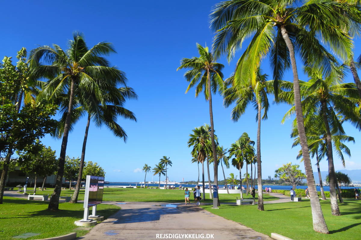 Besøg Pearl Harbor i Hawaii - Rejs Dig Lykkelig Besøg Pearl Harbor i Hawaii - Rejs Dig Lykkelig